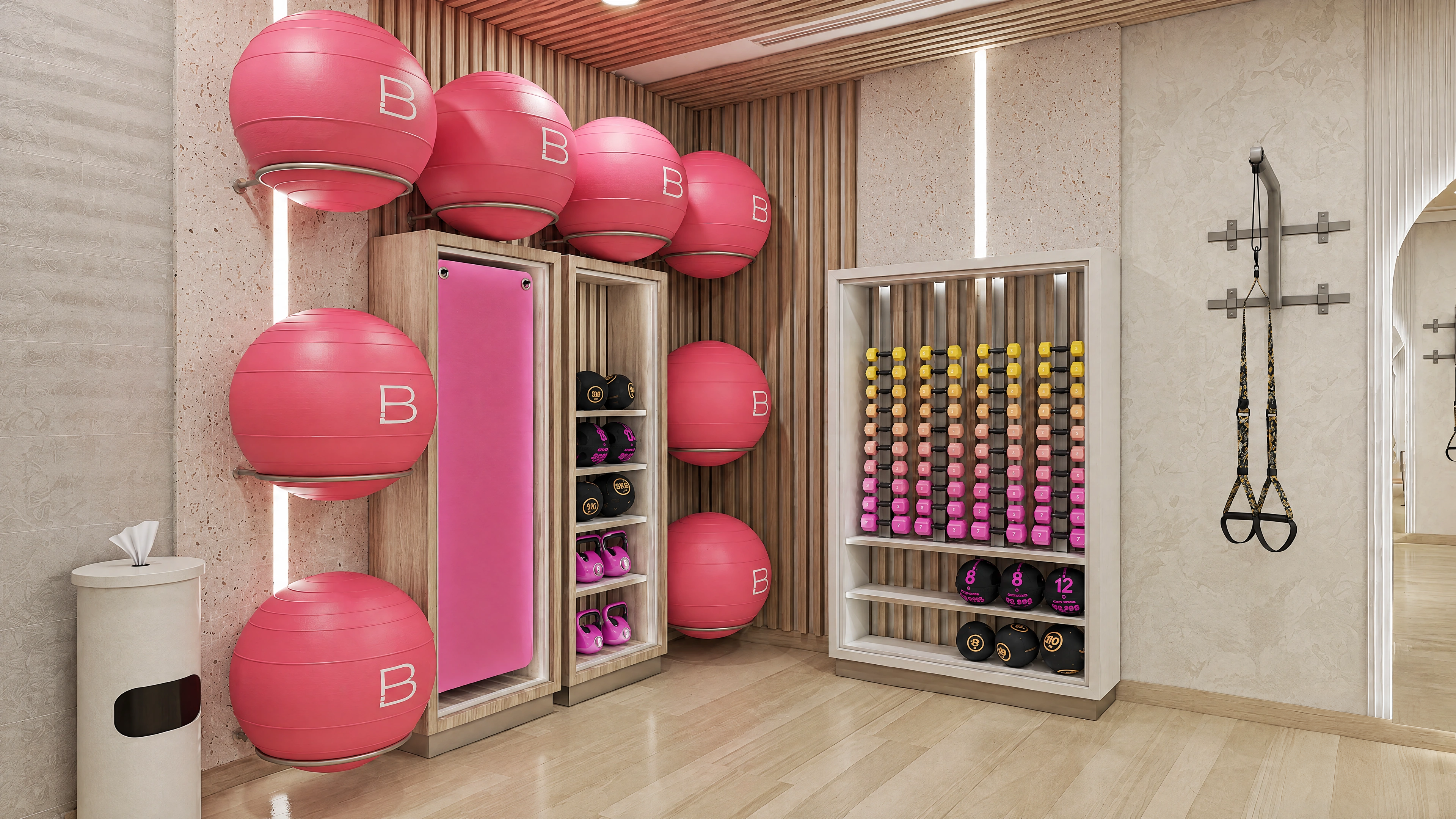 AI-enhanced project view — Exercise equipment storage with pink stability balls and wall racks.