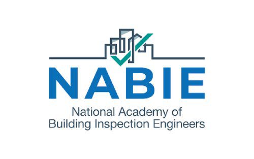 Nabie logo